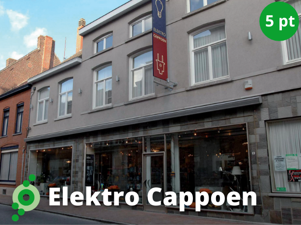 Elektro Cappoen