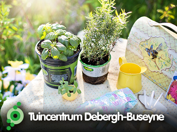 Tuincentrum Debergh Buseyne