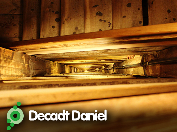 Decadt Daniel