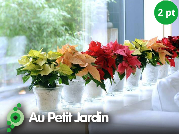 Au Petit Jardin