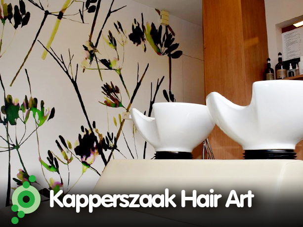 Kapperszaak Hair Art